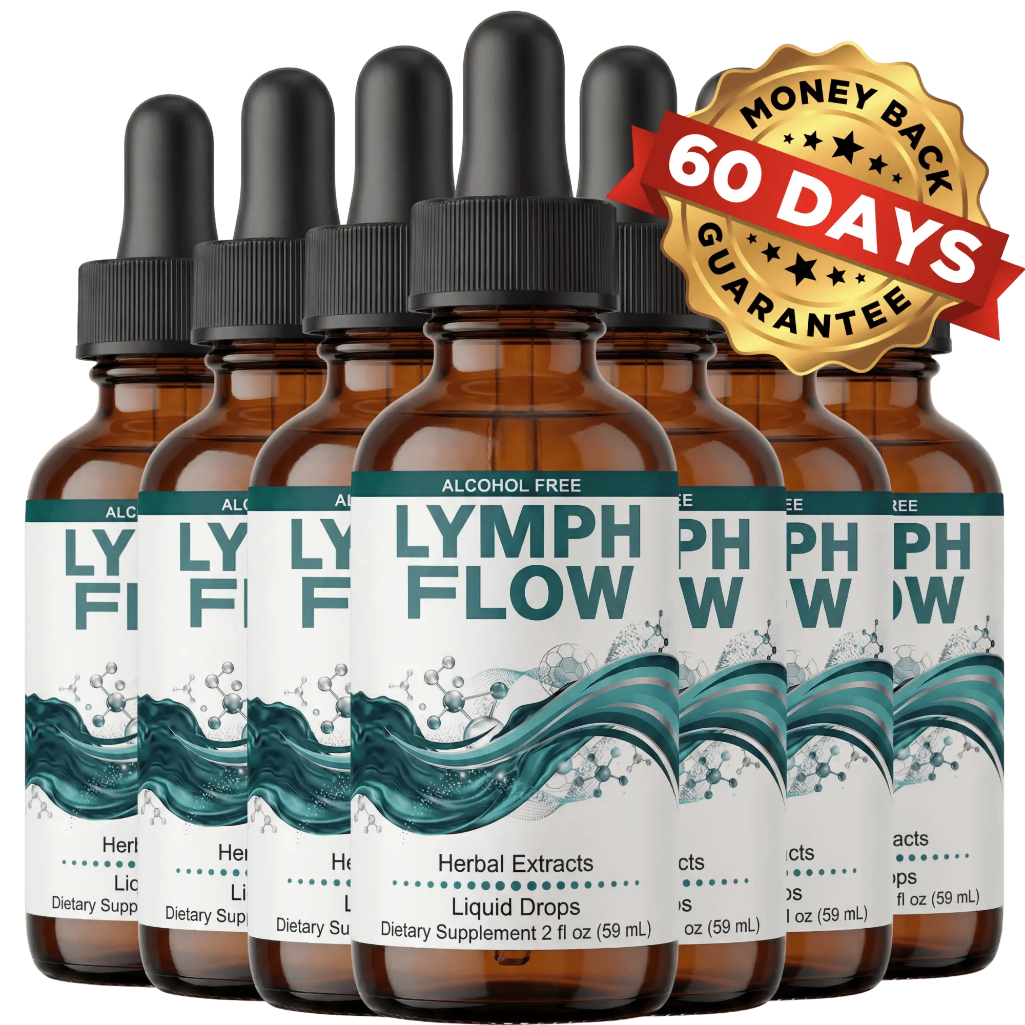 Lymph Flow 6 Bottle Package - 180 Day Supply - Best Value